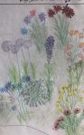 Sketch of plants